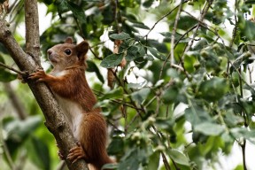 开云体育-“南非羚羊队的强大阵容：萨尔·巴赫和其他新星的完美搭档”