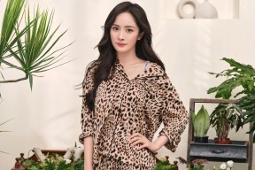 kaiyun体育综合-德甲的球迷文化多样性探讨，德甲球队关系探究