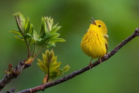 kaiyun中国官方网站-查默斯用实力回应所有质疑，查尔默斯科学究竟是什么