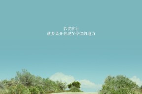 KAIYUNAPP-PSG强大对手，海湾者全力以赴争胜，海湾全名