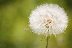 kaiyun开云·官方网站-女篮世界杯备战进入冲刺阶段全队状态逐步回暖，女篮球世界杯