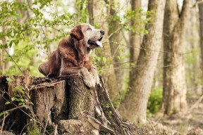 kaiyun官方网站-职业联赛鼓励数据分析师参与比赛策略制定过程，数据分析挑战赛
