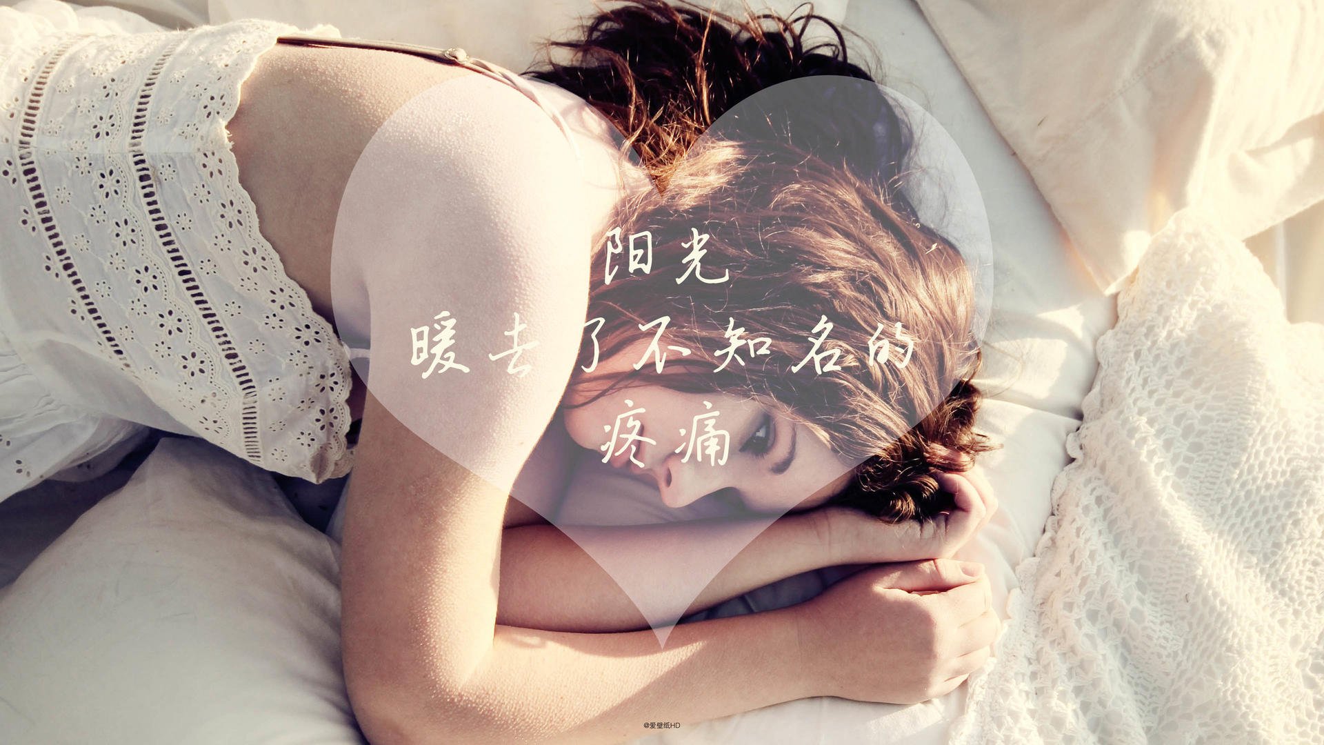 全国青少年马术耐力赛辽宁站圆满结束，马术耐力赛记录