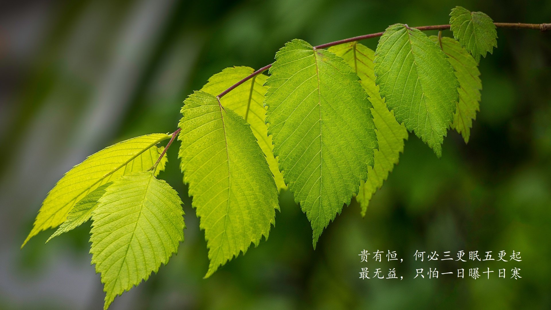 法甲球队通过大数据优化边路突破战术，法甲联赛盘路点评
