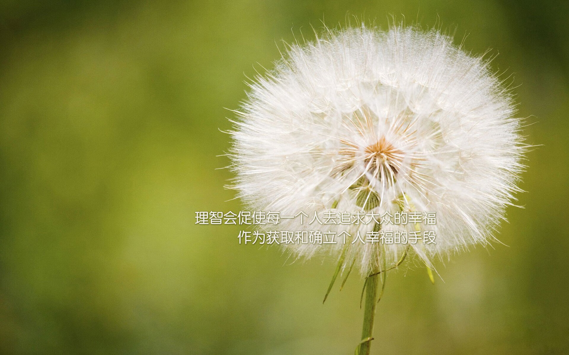篮球运动员训练负荷智能监测与疲劳恢复的综合研究，篮球项目负荷特征分析