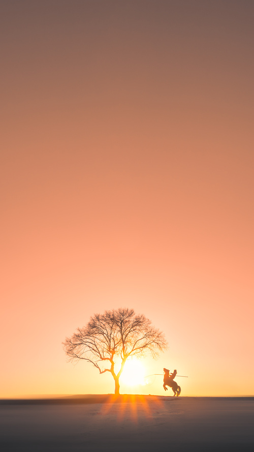 青少年专项运动技能训练计划设计与评估研究，青少年运动技能等级证书有什么用