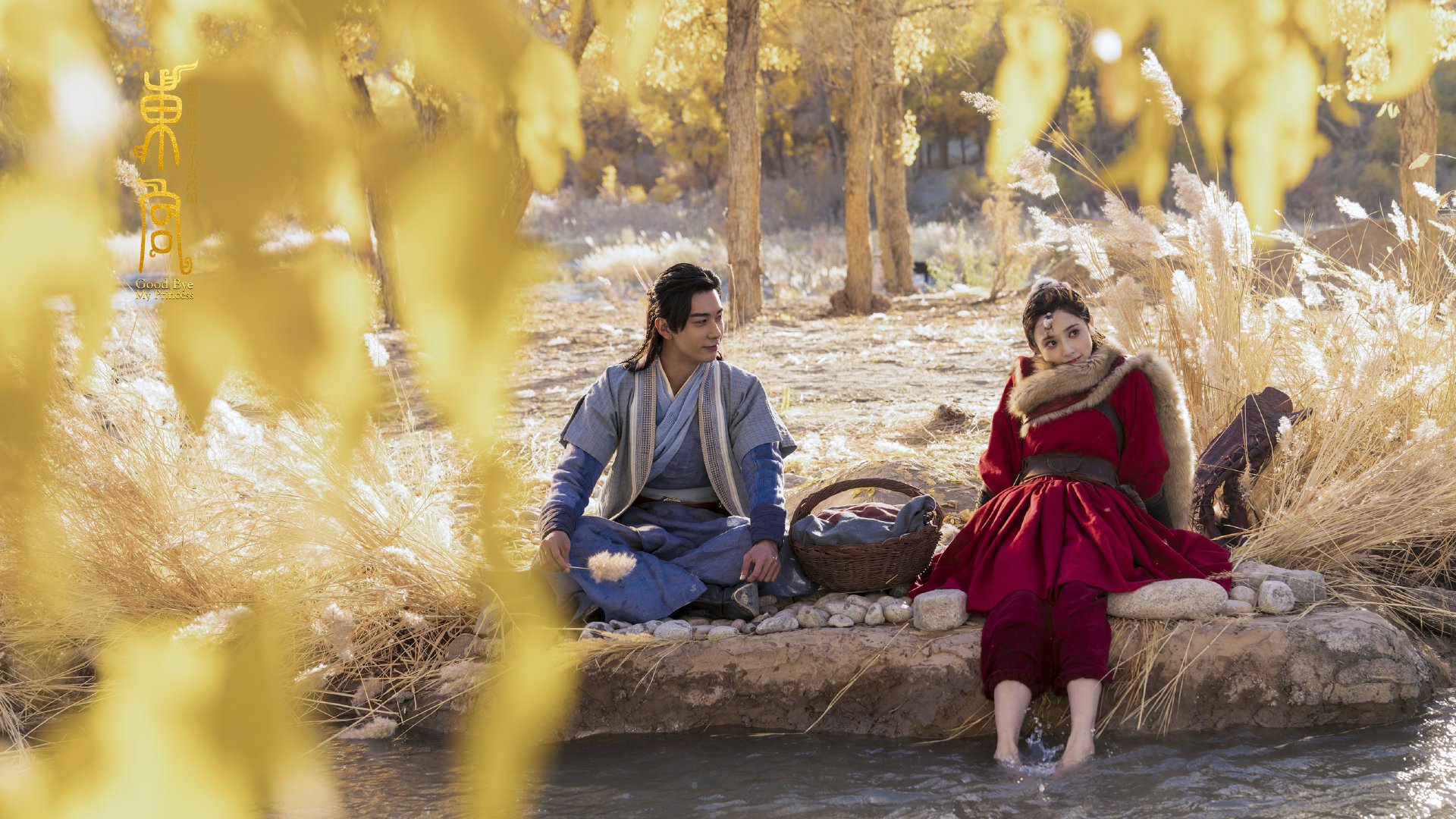 青少年体能提升计划实施效果评估研究，青少年体能提升计划实施效果评估研究报告