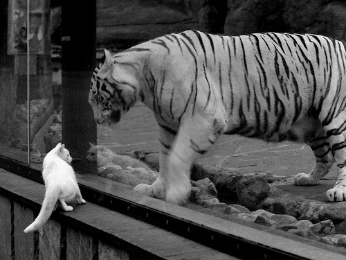 五大联赛球队青训体系是否仍具核心竞争力，五大联赛队伍别名