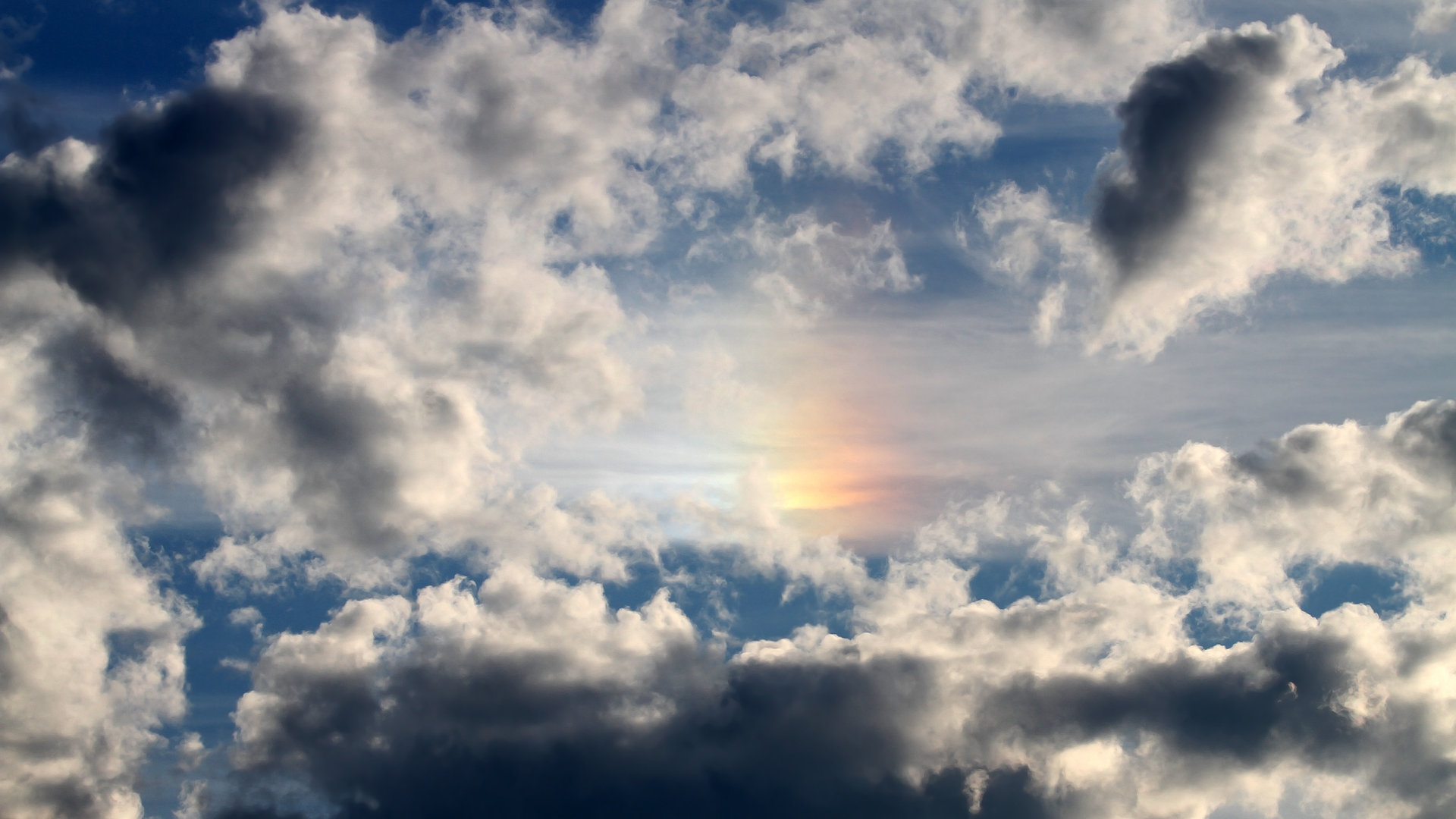 全运会筹备工作科学高效推进，召开全运会