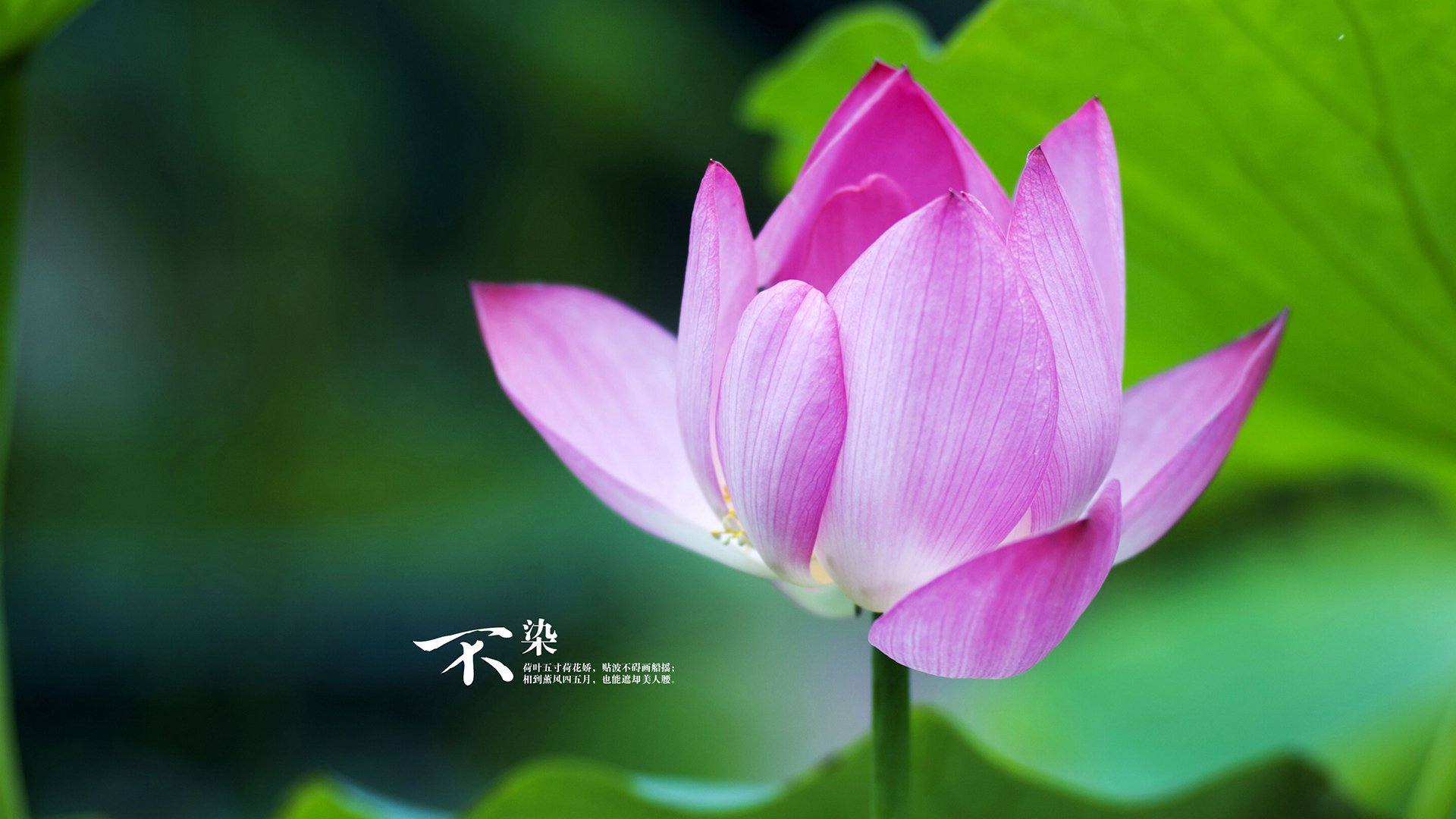 快节奏中球员的持球决策速度是否决定得分效率，快节奏足球