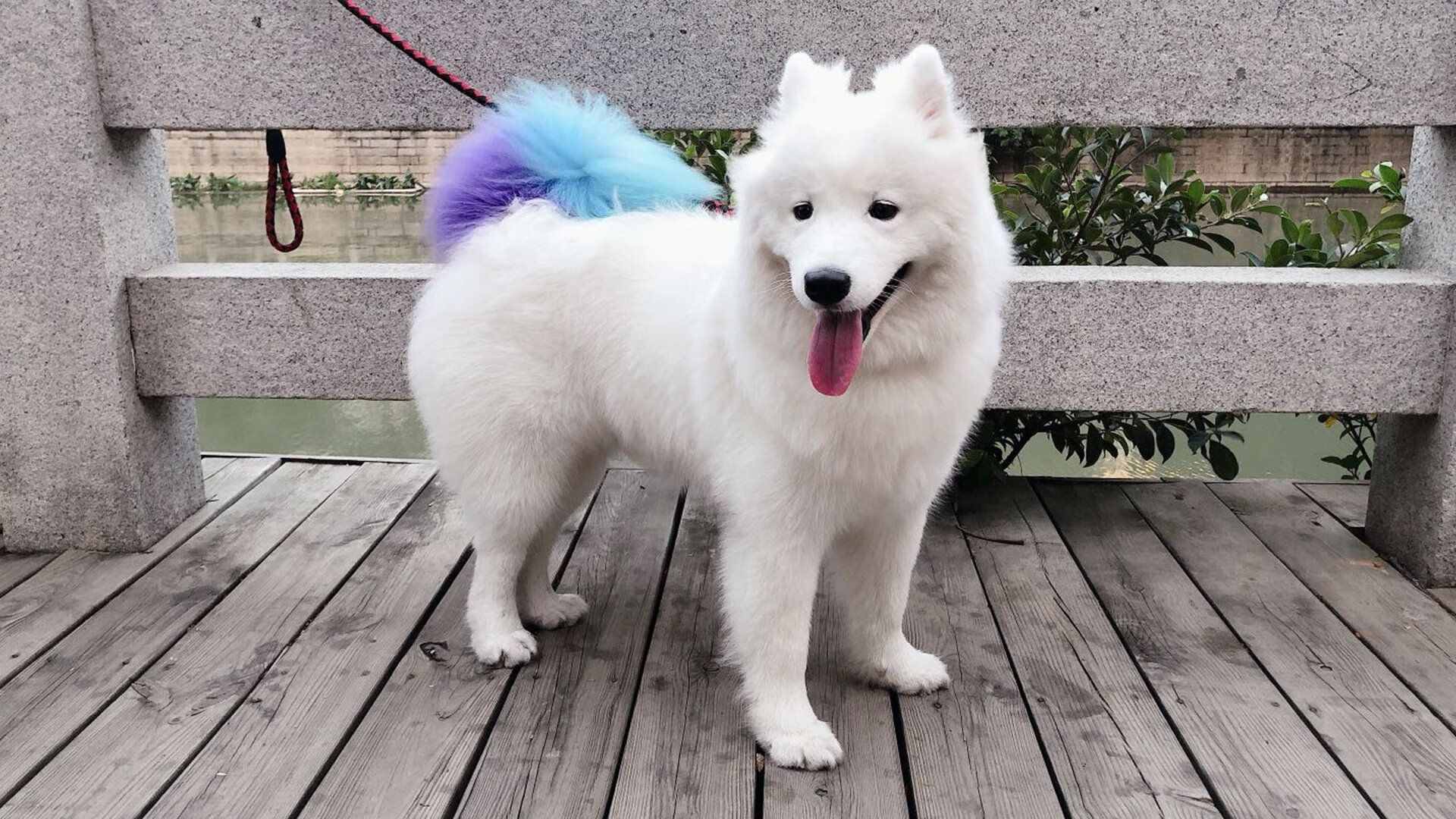 换人节奏是否依据对手战术变化动态调控，换人是啥