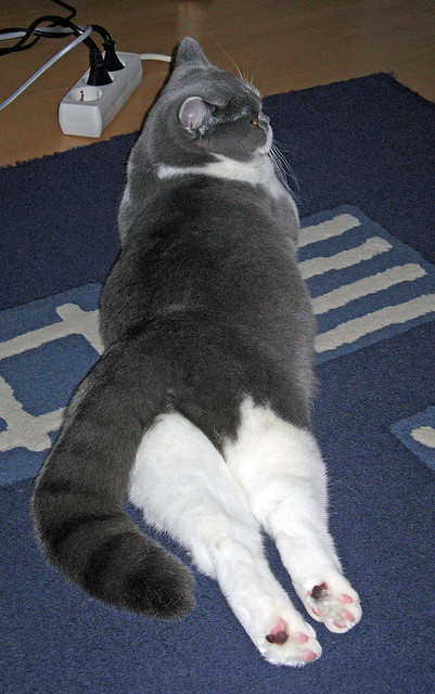 新闻中心完成平台智能化升级，智能化媒体下的新闻生产