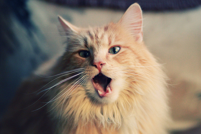 篮球比赛策略性换人成比赛胜负关键，篮球比赛换人有限制吗