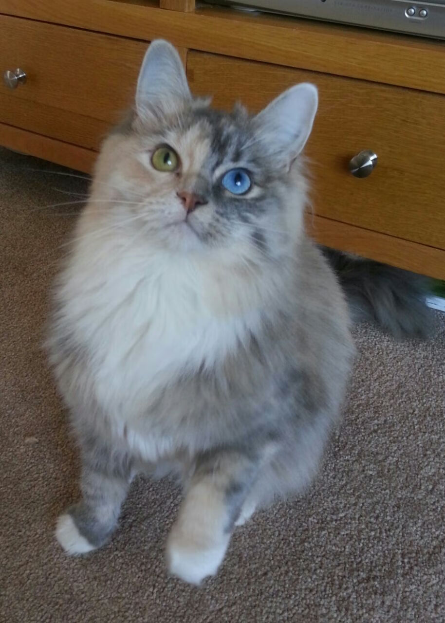 选手首次登台紧张又兴奋展现青春风采,作为第一个出场的选手 比较紧张