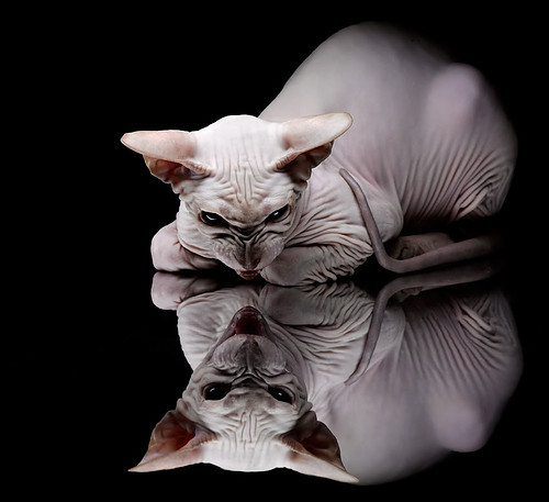 中乙联赛扩军计划提上日程推动地区联赛活力提升，中乙参赛队