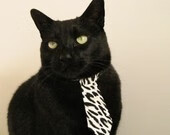 中国足球青年队参加国际友谊赛成果显著，中国青年足球锦标赛