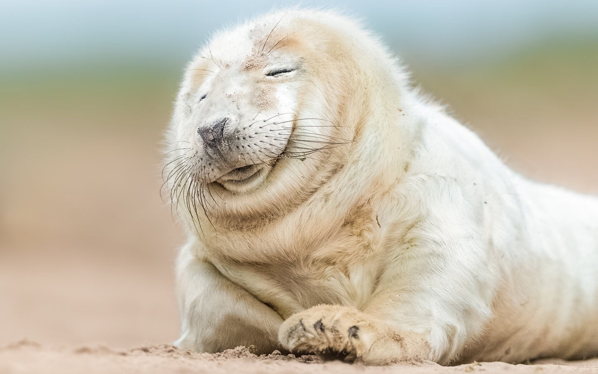 名人堂晚宴表彰传奇球员,群星闪耀一堂,名人堂典礼视频