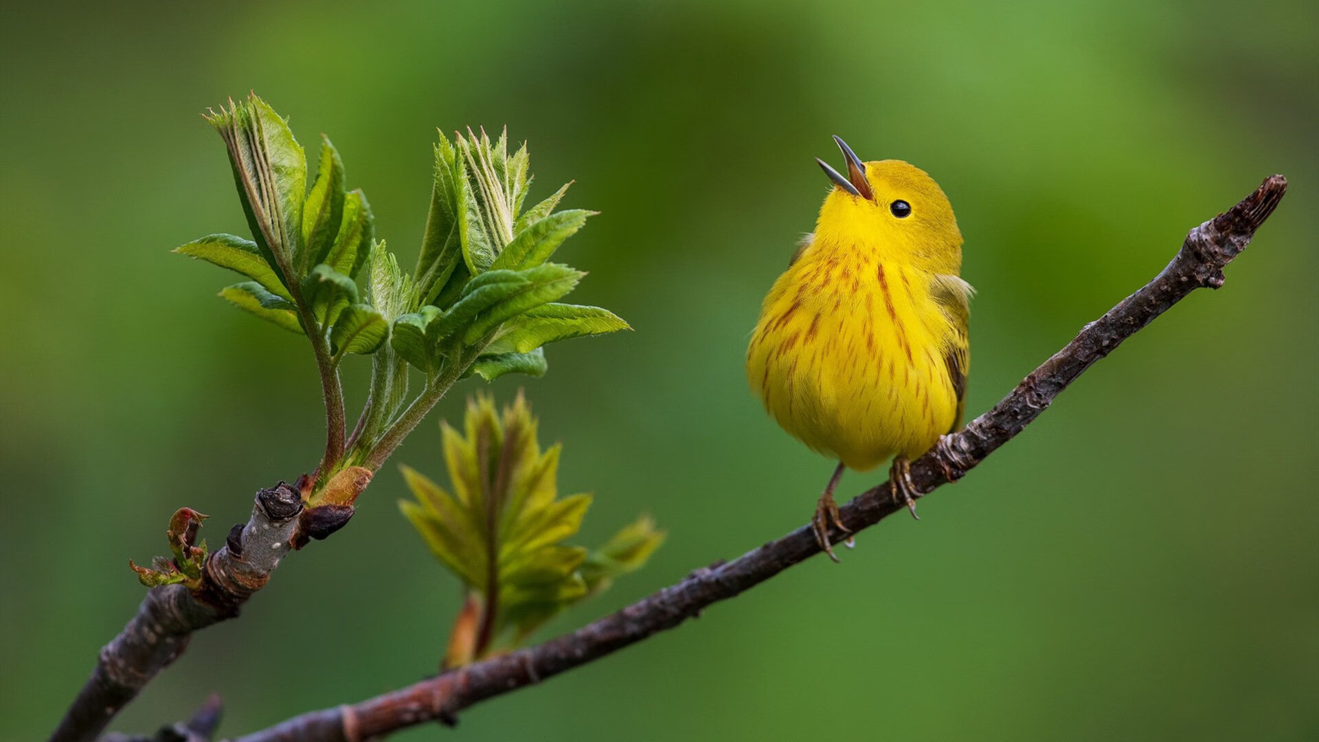 查默斯用实力回应所有质疑，查尔默斯科学究竟是什么